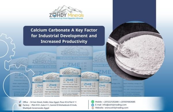 Calcium Carbonate A Key Factor for Industrial Development and Increased Productivity