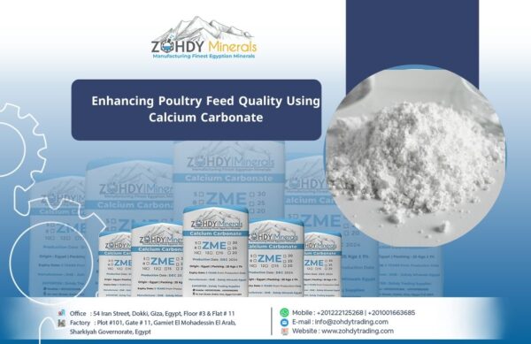 Enhancing Poultry Feed Quality Using Calcium Carbonate
